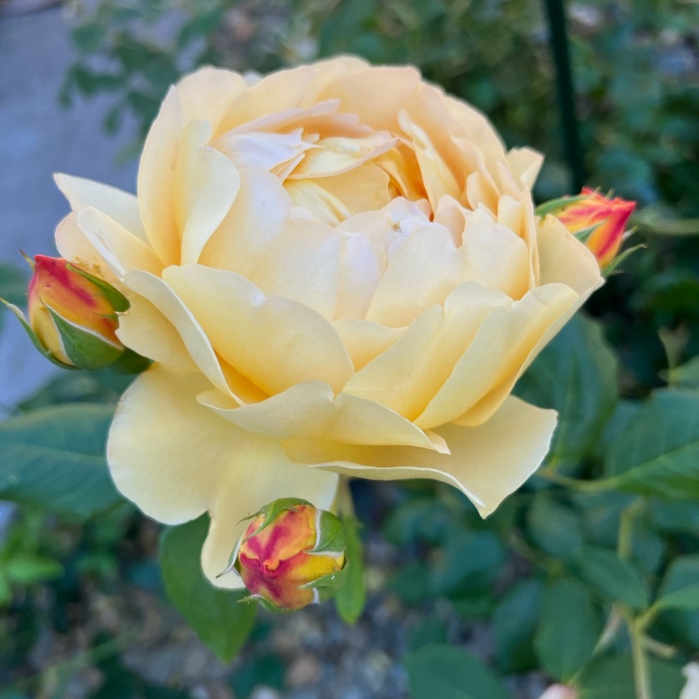 Meet your Posher, Ria